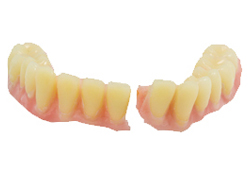 teeth-img4-box